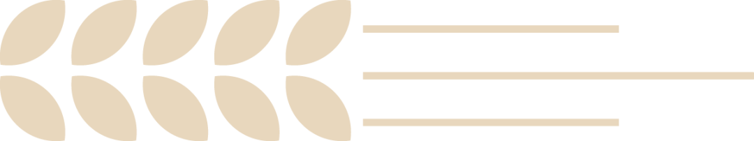 19.png